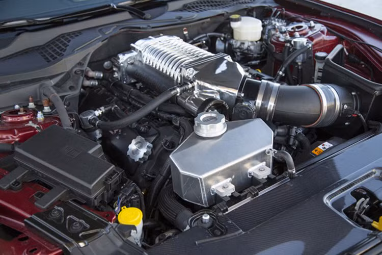 Khối động cơ V8 5.0 lít được tăng lực bởi hệ thống siêu nạp Ford Performance để có sức mạnh lên tới 650 mã lực. Nếu cảm thấy chừng đó là chưa đủ, khách hàng có thể tùy chọn siêu nạp của Kenne Bell hay Whipple để đẩy sức mạnh của “Siêu rắn” lên 750 sức ngựa.