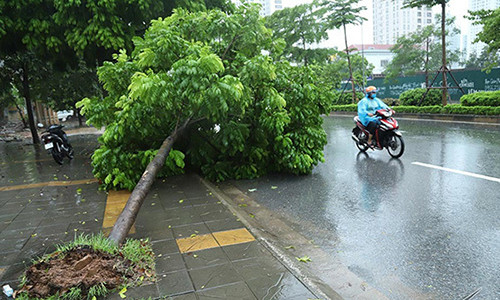 Du bao thoi tiet 27/8: Chieu va toi Ha Noi co mua dong