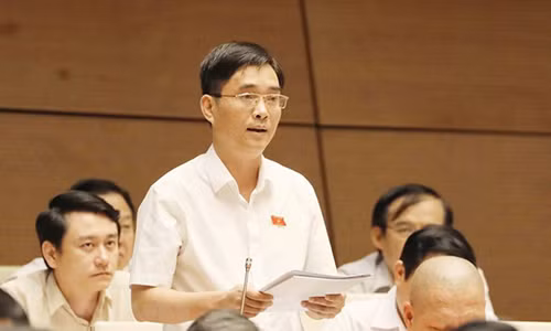 Dai bieu Quoc hoi: Nhieu ty phu om 'dat vang', 'dat kim cuong' cho thoi-Hinh-2