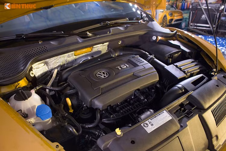 Beetle Dune 2017 được phân phối tại Việt Nam với một phiên bản gồm 3 màu sắc vàng, đen, trắng. Phiên bản được phân phối sở hữu động cơ TSI tăng áp 2.0L có công suất 208 mã lực tại vòng tua máy 5.300 - 6.000 rpm và mô men xoắn cực đại 280 Nm trong dải vòng tua từ 1.700 - 6.200 rpm. Đi cùng với nó là hộp số AT, 6 cấp ly hợp kép DSG.