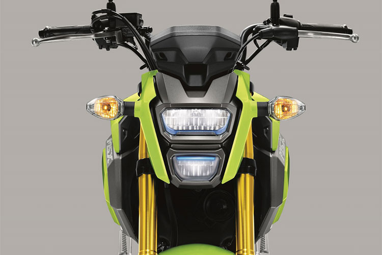 Nhằm mang đến hình ảnh mới trẻ trung hấp dẫn hơn cho mẫu xe cá tính này cũng như gia tăng thêm lựa chọn cho khách hàng, vào ngày 20/6/2018, Honda Việt Nam giới thiệu phiên bản mới của mẫu xe MSX 125cc.