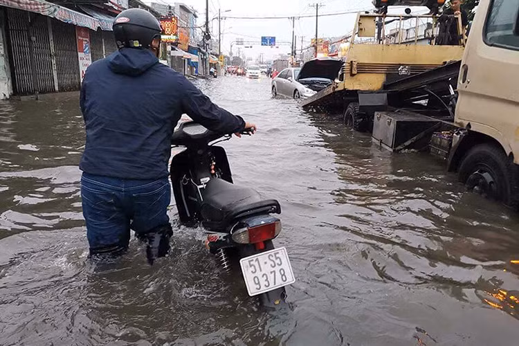 Trong ảnh là một chiếc xe máy Honda Wave chết máy do ngập nước được chủ nhân dắt bộ về nhà, phía trước là một chiếc xe sang Mercedes-Benz phiên bản S bị chết máy và đang được đưa lên xe cứu hộ.