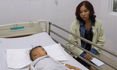 Gia mao truc loi tu vu tai nan 13 nguoi chet: Co the bi xu ly hinh su-Hinh-2