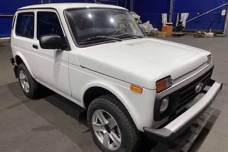 Các mẫu xe Lada về Việt Nam đều là những dòng xe phổ thông, hướng đến nhóm khách hàng có nhu cầu di chuyển trong đô thị, với thiết kế nhỏ gọn và giá bán được cho là "mềm" so với mặt bằng thị trường. 