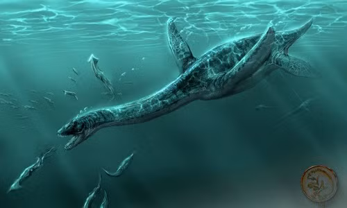 Bí ẩn quái vật hồ Loch-ness: Bất ngờ kết quả nghi cá trình - Hình 2 Bi an quai vat ho Loch-ness: Bat ngo ket qua nghi ca trinh-Hinh-2