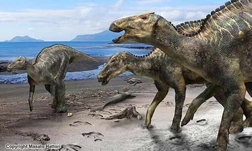 Tim thay hoa thach xuong loai khung long moi, lon nhat Nhat Ban