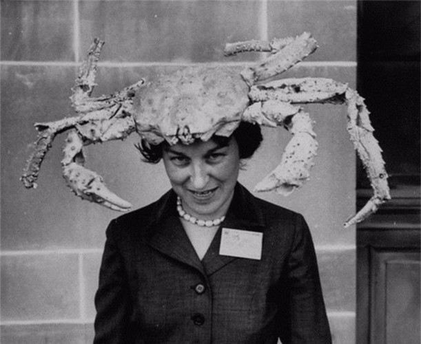 Hình ảnh kỳ lạ được chụp vào những năm 1950 ghi lại cảnh một người phụ nữ đang đội một con cua khổng lồ trên đầu.