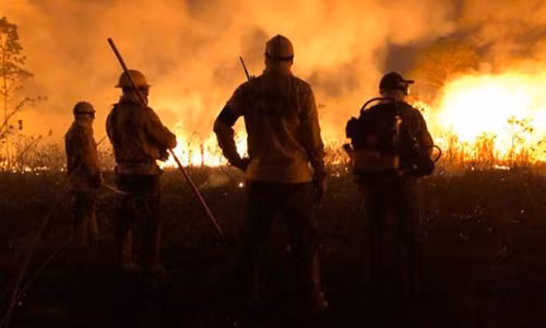 Gặp gỡ bộ tộc thầm lặng cứu rừng Amazon khỏi biển lửa Gap go bo toc tham lang cuu rung Amazon khoi bien lua