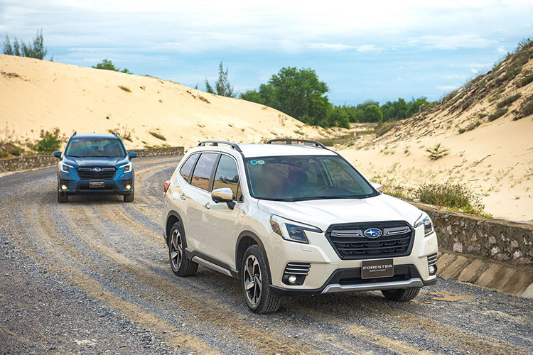 Subaru Forester nhan uu dai toi 250 trieu truoc Tet Nguyen dan
