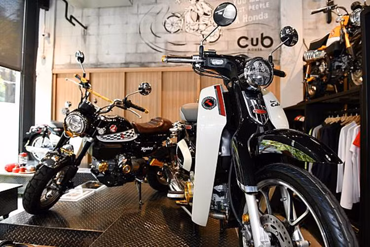 Ngoài các thay đỏi về ngoại hình nói trên, Honda Cub C125 vẫn sử dụng động cơ xylanh đơn, SOHC, dung tích 125cc, phun xăng điện tử, hộ số côn tự động 6 cấp, sản sinh công suất 9,1 mã lực và mômen xoắn cực đại 10 Nm. Hệ thống chiếu sáng trên xe bao gồm đèn pha, đèn xinhan, đèn phanh đều ứng dụng công nghệ LED, phanh đĩa là trang bị tiêu chuẩn ở trước, cùng với đó là hệ thống khóa thông minh Smart Key.