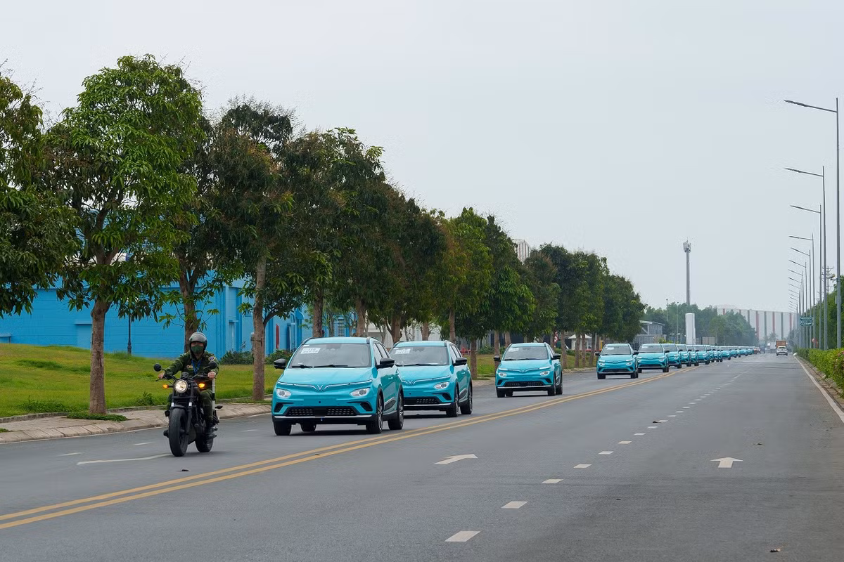 Dan xe taxi dien VinFast da san sang phuc vu khach hang Viet-Hinh-3