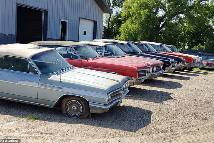 Trong trang trại của ông Graham, đâu đâu cũng thấy ôtô hàng hiếm đời cổ. Những chiếc xe thuộc đủ thể loại, thương hiệu, kiểu dáng và năm sản xuất này được xếp chật kín trong kho. Thậm chí, kho không đủ chỗ chứa nên nhiều chiếc xe còn phải nằm trên bãi cỏ ngoài trời.