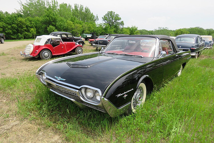 Rất nhiều chiếc xe được mang ra bán đấu giá ở trong tình trạng hỏng nặng và cần nhiều thời gian, công sức cũng như tiền bạc để phục chế. Tất nhiên, cũng có một số chiếc xe có tình trạng tốt hơn như Cadillac Series 62 Eldorado đời 1950, Ford Fairlane Skyliner 1957 hay MG Roadster 1960.