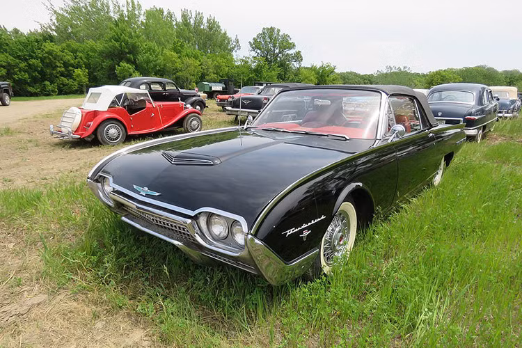 Rất nhiều chiếc xe được mang ra bán đấu giá ở trong tình trạng hỏng nặng và cần nhiều thời gian, công sức cũng như tiền bạc để phục chế. Tất nhiên, cũng có một số chiếc xe có tình trạng tốt hơn như Cadillac Series 62 Eldorado đời 1950, Ford Fairlane Skyliner 1957 hay MG Roadster 1960.