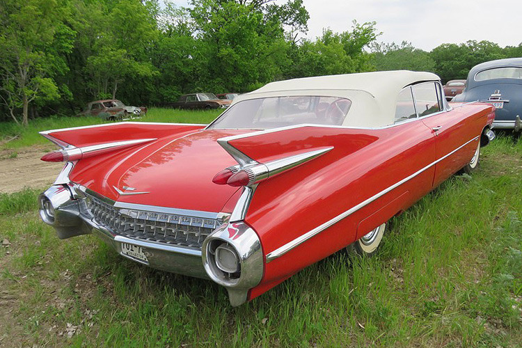 Một vài "viên ngọc" khác trong bộ sưu tập ôtô hàng hiếm của ông Graham gồm Chevrolet Impala Convertible 1959, chiếc sedan Oldsmobile 88 1955 nguyên bản, Edsel Pacer 1958, Rambler sedan, Packard 200 sedan 1954, Ford F-3 hay Pontiac Chieftain 1954.