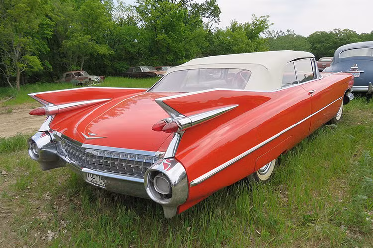 Một vài "viên ngọc" khác trong bộ sưu tập ôtô hàng hiếm của ông Graham gồm Chevrolet Impala Convertible 1959, chiếc sedan Oldsmobile 88 1955 nguyên bản, Edsel Pacer 1958, Rambler sedan, Packard 200 sedan 1954, Ford F-3 hay Pontiac Chieftain 1954.