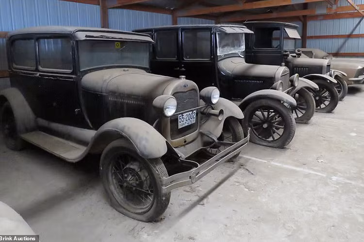 Trong sự kiện đấu giá do công ty Vanderbrink Auctions tổ chức vào hai ngày 9-10/8/2019 vừa qua, đã có khoảng 200 chiếc ôtô trong bộ sưu tập của ông Graham được mang ra bán. Tất cả những chiếc ôtô này đều là xe tải cổ, ra đời từ thập niên '20 và '30. Bên cạnh đó là những chiếc xe Mỹ cổ của giai đoạn bùng nổ trong thập niên 50 và 60.