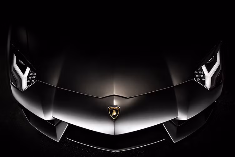 Lamborghini là tên họ của người đã sáng lập ra nhãn hiệu “con bò vàng” – Ferrucio Lamborghini. Logo của Lamborghini là một chú bò mộng, nhiều người cho rằng logo này biểu tượng cho sức mạnh và tốc độ. Nhưng thực tế, nó biểu thị cho ngày tháng sinh của người sáng lập. Đơn giản vì Ferruccio Lamborghini thuộc cung Kim Ngưu.