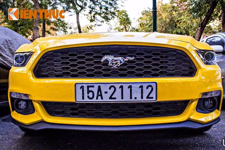 Ford Mustang được trang bị hệ thống treo phía sau hoàn toàn mới (hệ thống treo độc lập), hệ thống treo MacPherson cho phía trước và hệ thống liên kết đa điểm phía sau. Các lò xo giảm xóc và các ống lót đã được thiết kế lại và điều chỉnh cho một chiếc xe có hiệu suất cao.