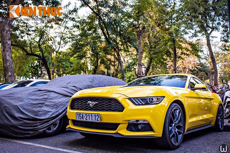 Ford Mustang thế hệ thứ sáu lần đầu được giới thiệu vào tháng 12/2013 và bắt đầu sản xuất hàng loạt từ tháng 7/2014. Xe sở hữu thiết kế sắc nét và hiện đại hơn thế hệ trước với với capô dài, đầu và đuôi nhô cao.