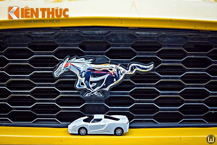Lưới tản nhiệt dạng mắt cáo kéo dài sang hai bên cùng với logo "chiến mã đang phi nước đại" đúng với truyền thống từ nhiều năm nay của dòng xe cơ bắp Mỹ, Ford Mustang.