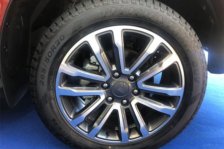 Ngoài phiên bản động cơ Bi-Turbo giống Ranger Raptor, các phiên bản còn lại của Ford Everest nâng cấp 2018 cũng sẽ có động cơ dầu 2.0 mới, sử dụng Turbo đơn, công suất 180 mã lực và momen xoắn tối đa là 420 Nm. Ngoài phiên bản thấp cấp nhất sử dụng hộp số sàn, tất cả các phiên bản khác của Ford Everest đều sử dụng hộp số 10 cấp tự động.