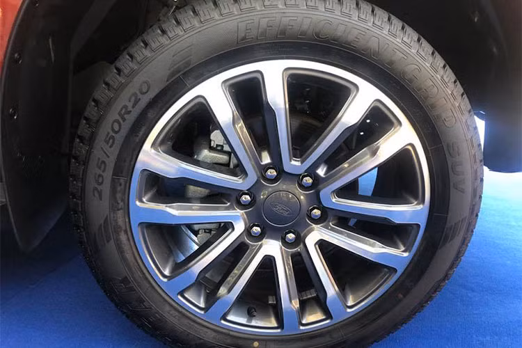 Ngoài phiên bản động cơ Bi-Turbo giống Ranger Raptor, các phiên bản còn lại của Ford Everest nâng cấp 2018 cũng sẽ có động cơ dầu 2.0 mới, sử dụng Turbo đơn, công suất 180 mã lực và momen xoắn tối đa là 420 Nm. Ngoài phiên bản thấp cấp nhất sử dụng hộp số sàn, tất cả các phiên bản khác của Ford Everest đều sử dụng hộp số 10 cấp tự động.