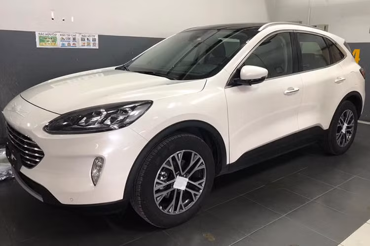 Theo các sale và đại lý của Ford Việt Nam, mẫu xe Ford Escape 2020 mới đã chính thức nhận đặt cọc từ ngày 10/10/2019. Tuy nhiên cho đến nay nó mới xuất hiện chính thức để chuẩn bị cho ngày ra mắt tại triển làm ô tô Việt Nam 2019 (VMS) diễn ra từ ngày 24/10/2019 ở TP HCM.