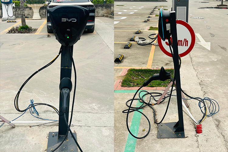 BYD - ong trum oto dien the gioi nhung 