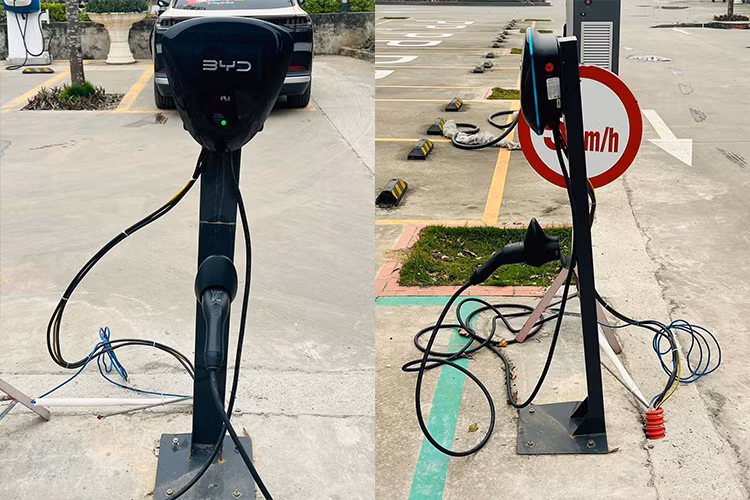 BYD - ong trum oto dien the gioi nhung 