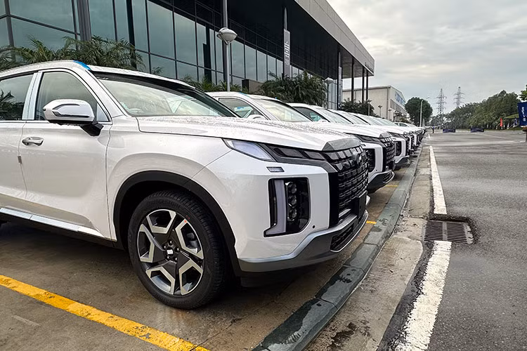 Sự kiện xuất khẩu lần này đánh dấu hơn 15 năm hợp tác chiến lược giữa TC Group và Hyundai Motor trong lĩnh vực sản xuất và phân phối các dòng xe thương hiệu Hyundai tại Việt Nam. Sau hơn 15 năm hợp tác, TC Group đã thành công đưa thương hiệu ôtô Hyundai và cả xe du lịch chiếm lĩnh thị trường Việt Nam.