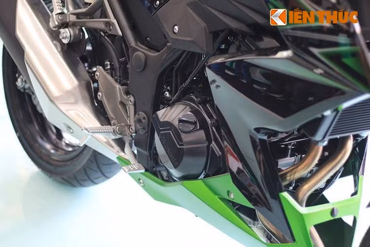 Kawasaki Z300 sở hữu trong lượng khô không ABS là 168 kg, phiên bản ABS là 170 kg. Theo thông tin từ nhà phân phối Kawasaki tại Việt Nam, xe sở hữu hai tùy chọn màu sắc là; xanh lá - đen, xám -đen.