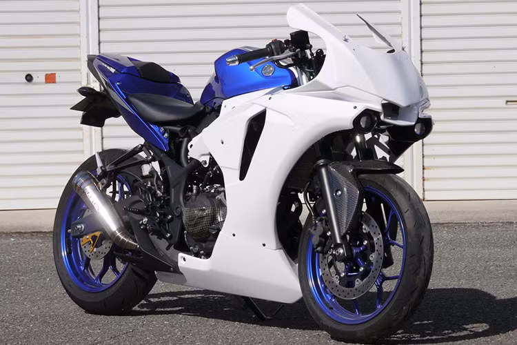 Sau khi lên dàn đầu cùng bộ cánh phía trước, chiếc sportbike R25 đa có được hình dáng khá hoàn hảo.