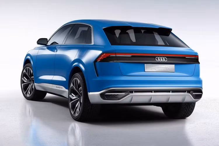 So với các đối thủ tương lai là Mercedes-AMG GLE63 (với 549 mã lực và 699 Nm) và BMW X6 M (567 mã lực và 750 Nm) có khả năng tăng tốc từ 0-100 km/h lần lượt là 4,3 và 4,2 giây, tốc độ tối đa đạt 280 km/h thì theo một nguồn tin từ Audi Sport, Q8 RS cũng sẽ có khả năng tăng tốc từ 0-100 km/h dưới 5 giây nhưng tốc độ tối đa ở mức trên 300 km/h.