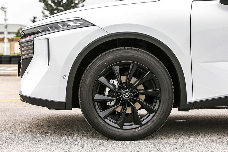 Thiết kế đằng sau của Venucia V-Online khá táo bạo với cụm đèn hậu LED thanh mảnh, có chiều dài tổng cộng 1,6 m và nằm vắt ngang đuôi xe. Thêm vào đó là cánh gió mui tích hợp đèn phanh trên cao hình chữ "V" như logo trên lưới tản nhiệt và bộ khuếch tán gió giả màu bạc khá lớn ở cản sau.