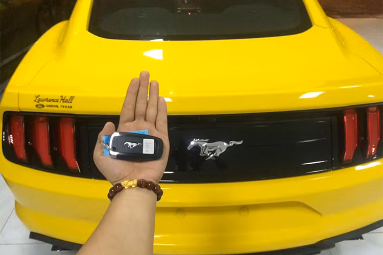 Mustang 2018 về Việt Nam sử dụng khối động cơ 4 xy-lanh thẳng hàng (I4) dung tích 2.3L tăng áp (turbocharged) với công nghệ EcoBoost nổi tiếng của Ford cho công suất tối đa 310 mã lực tại vòng tua 5.500v/p và mô-men xoắn cực đại 474 Nm; sức mạnh được truyền xuống cầu sau (RWD) qua hộp số tự động 10 cấp.