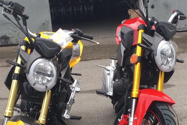 Lô siêu môtô MV Agusta nhái về Việt Nam đợt này theo quảng cáo của nhà phân phối sẽ có 3 màu sắc chính bao gồm; xe môtô côn tay Andean Ad 125 trắng, vàng, đen và đỏ. Phần đầu xe có thiết kế tương tự xe xịn nhưng "hàng mã" hơn, được trang bị dạng led cho cả đen pha và xi nhan.