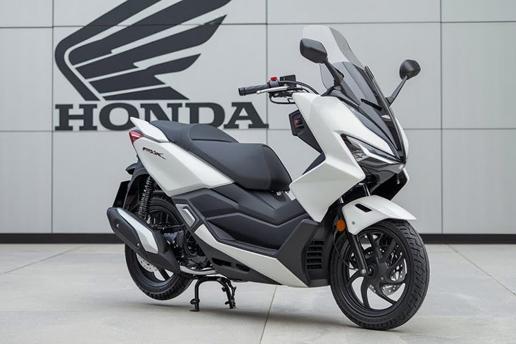 Sau nhiều năm lắp ráp và bán tại thị trường Việt Nam, mẫu xe ga maxi scooter PCX không được ưa chuộng bằng "người anh em" Honda SH và hệ quả là mẫu xe này đã chính thức bị khai tử.