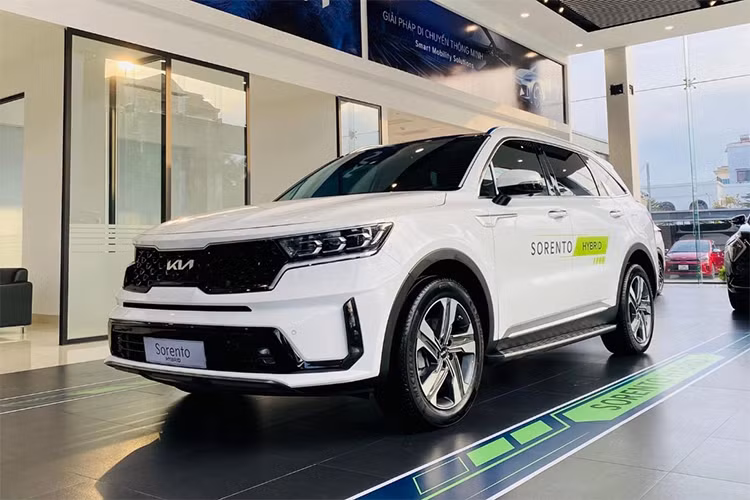 Kia Sorento Hybrid giam den 120 trieu, gia chi con tu 1,029 ty dong-Hinh-11