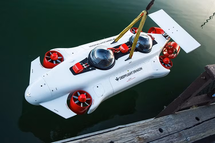 Bằng số tiền đó, khách hàng sẽ nhận được một tàu ngầm cá nhân dài 5 mét, dễ dàng đưa lên hầu hết du thuyền lớn hơn. Có chiều rộng chỉ 1,9 mét, nó chỉ phù hợp cho 2 người sử dụng, một người lái và một hành khách, và cũng chỉ có thể chở trọng tải 250 kg.