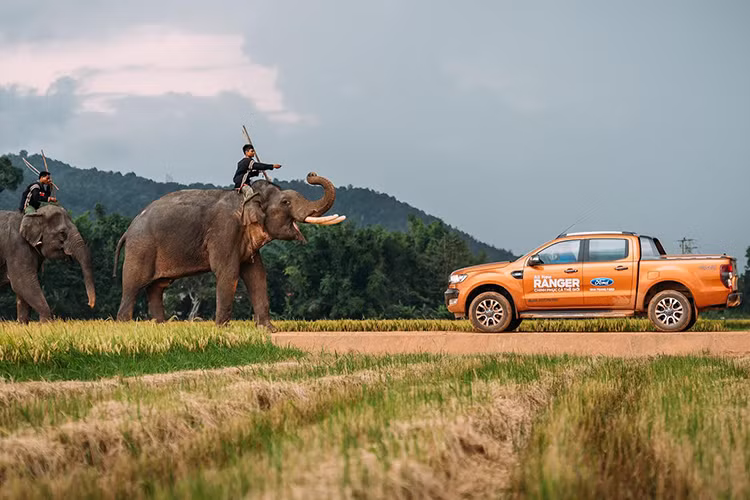 Ranger Wildtrak mới có thiết kế đặc biệt đúng chất địa hình mạnh mẽ với ga-lăng và tay nắm cửa, gương gập điện sơn đen, bộ la-giăng 18 inch, thanh thể thao sau thùng và giá thể thao trên nóc xe... Cụm đèn hậu phía sau kết hợp xi nhan không có gì thay đổi so với phiên bản cũ.