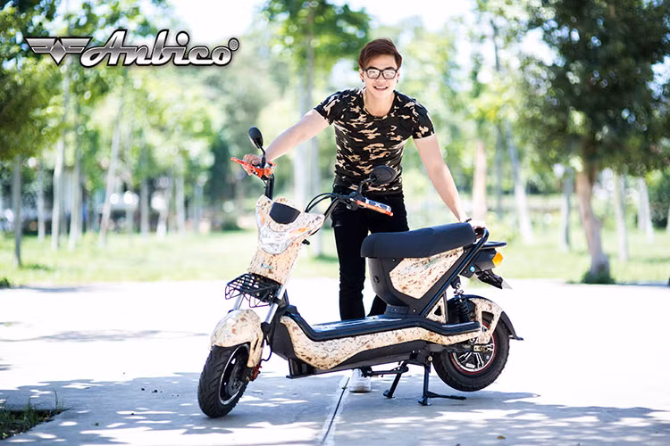 Mẫu xe điện mới này sở hữu bánh trước sau có kích thước 3.0-10 sử dụng vành 10 inch. Lốp không săm. Giảm xóc đơn phía sau. Phanh đĩa phía trước 180 mm giúp người điều khiển sử dụng an toàn và tiện lợi hơn so với nhiều phiên bản xe điện khác.