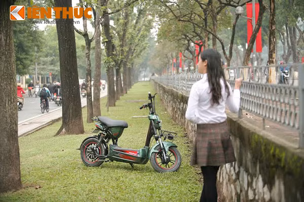 Thoi trang dung dieu cung “nguoi kien” Anbico AP1509-Hinh-10