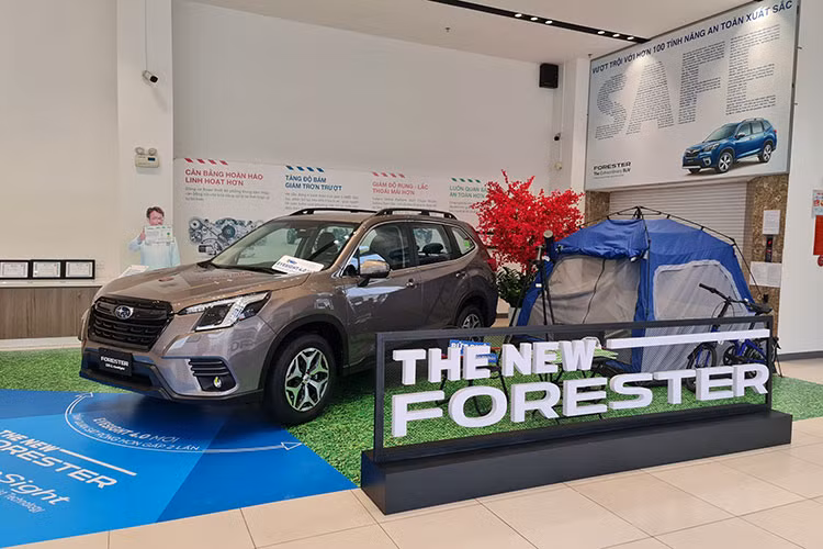 Oto nhap khau giam hang tram trieu dong 