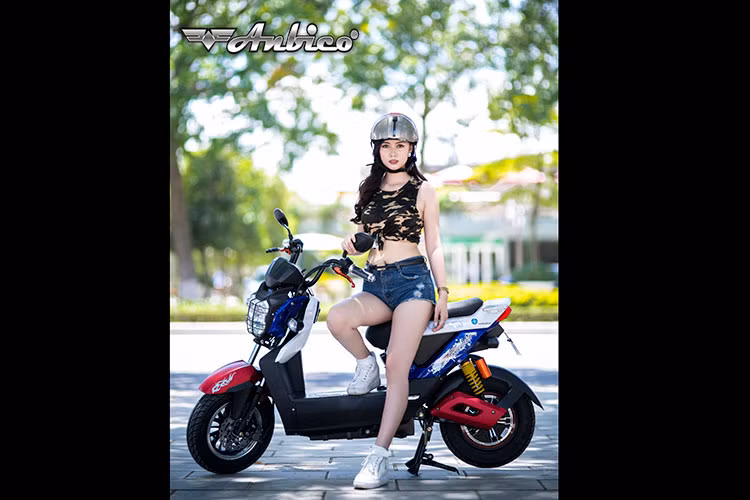 Xe sở hữu động cơ chính hãng Ananda chống nước hoàn toàn với chiều cao tấm từ 30mm. Sức mạnh từ động cơ công suất 800W với điện áp 60V cho số vòng quay không tải 550 vòng/phút. 5 bình điện 6-DZM-20 trên xe cho tốc độ tối đa 45km/h cùng thời gian sử dụng lên tới hơn 80km.