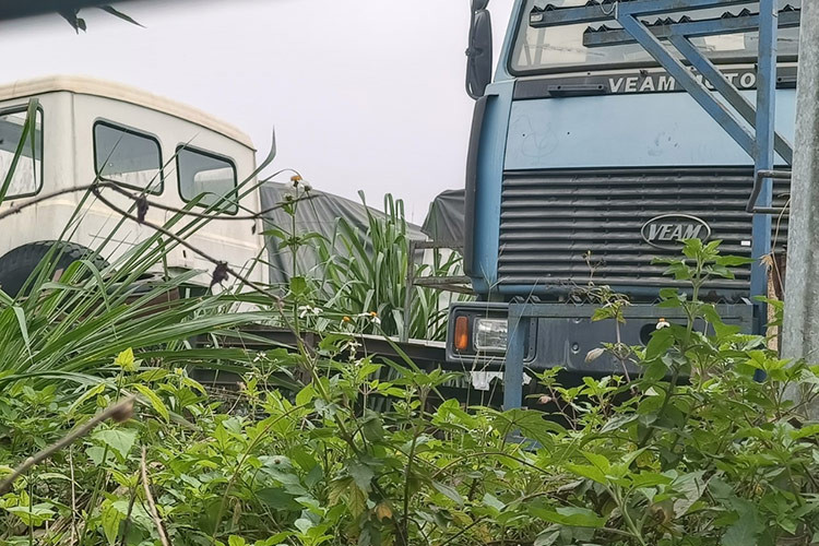 Bên trong khu đất rộng hơn 28 ha của nhà máy ôtô VEAM Thanh Hóa, hàng ngàn chiếc xe tải VEAM được xếp hàng ngay ngắn với nhiều chủng loại, đa dạng mẫu mã, từ xe tải nhỏ dưới 1 tấn đến các mẫu xe tải dưới 10 tấn, đều đang trong tình trạng xuống cấp nặng nề (Ảnh: THDV).