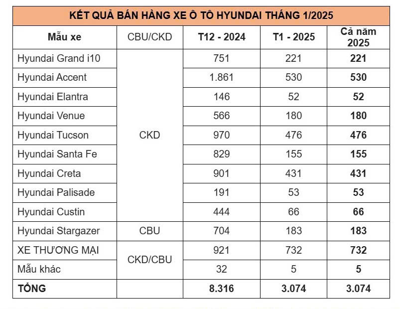 Hon 3.000 xe Hyundai den tay khach Viet trong thang 1/2025-Hinh-2
