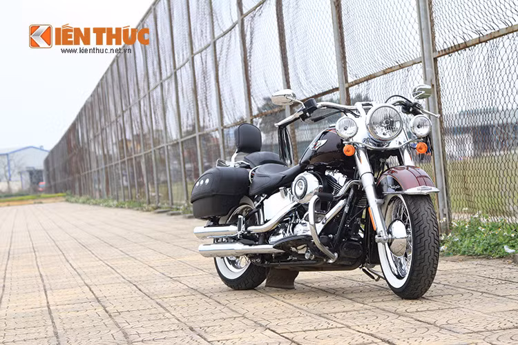 Softail là thương hiệu được dùng trong các dòng xe của Harley-Davidson có hệ thống treo sau được ẩn đi hoặc được tích hợp lại. Xuất hiện trong danh mục từ năm 1984, dòng Softail được đánh giá là một trong những sản phẩm thành công của hãng Harley-Davidson.