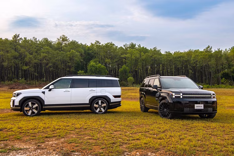 Hyundai SantaFe VIN 2024 giảm giá tới 100 triệu đồng cho bản Prestige, đưa giá xe về mức 1,165 tỷ đồng thay vì 1,265 tỷ đồng như đề xuất từ nhà phân phối chính hãng. Bản Calligraphy 2.5 Turbo được giảm 80 triệu đồng, trở về mức 1,285 tỷ đồng.