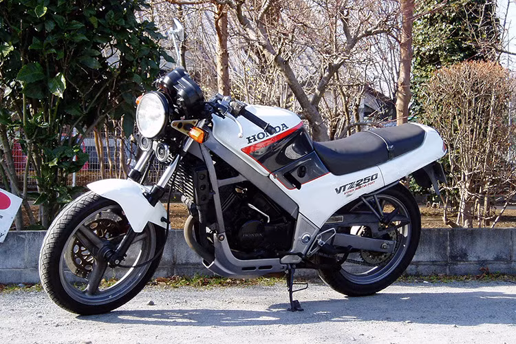 Honda VTZ 250 đời cũ là mẫu naked-bike có xuất xứ tại thị trường Nhật Bản khoảng những năm 90, xe sử dụng động cơ 250 phân khối được nhập về Việt Nam từ khoảng cuối những năm 90. hiện dòng xe này xuất hiện khá ít trên thị trường.
